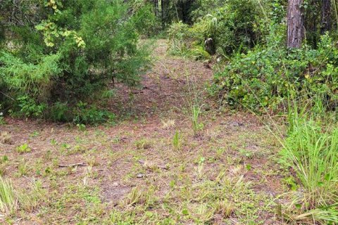 Terrain à vendre à Bunnell, Floride № 1340055 - photo 15