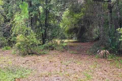 Terrain à vendre à Bunnell, Floride № 1340055 - photo 6