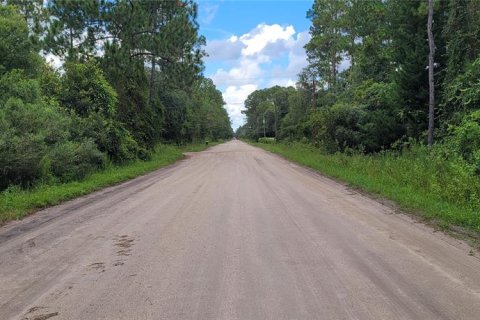 Terrain à vendre à Bunnell, Floride № 1340055 - photo 4