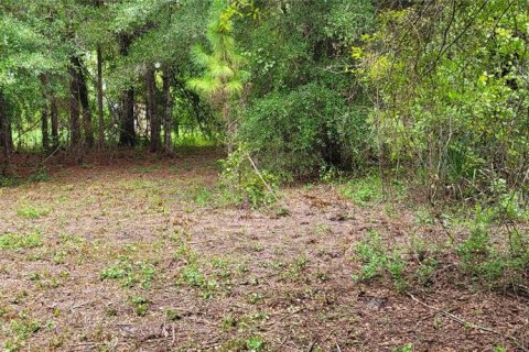 Terrain à vendre à Bunnell, Floride № 1340055 - photo 14