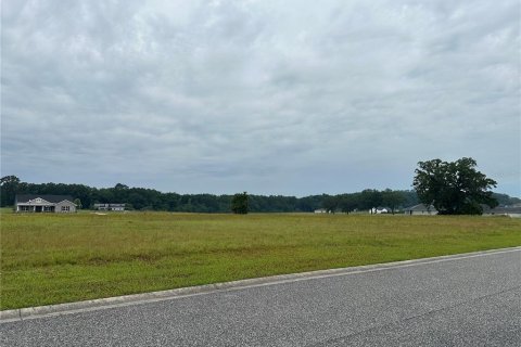 Land in Ocala, Florida № 1356139 - photo 2