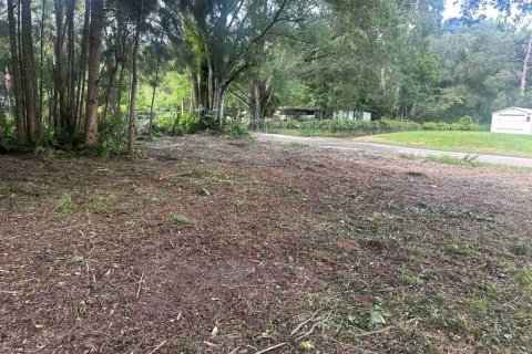 Terreno en venta en Odessa, Florida № 1393156 - foto 4