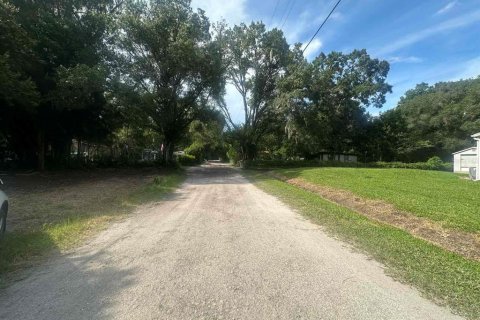 Terreno en venta en Odessa, Florida № 1393156 - foto 7