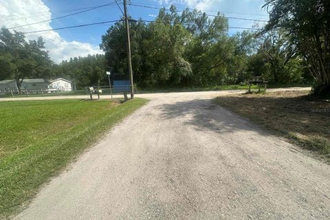 Terreno en venta en Odessa, Florida № 1393156 - foto 6