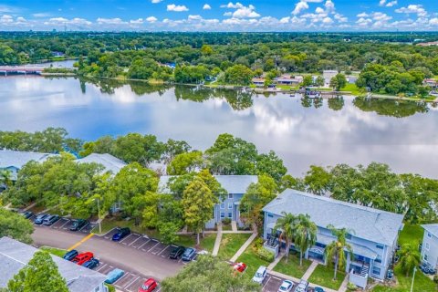 Condo in Tampa, Florida, 1 bedroom  № 1250523 - photo 4