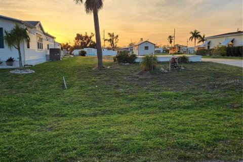 Terreno en venta en Englewood, Florida № 1061783 - foto 2