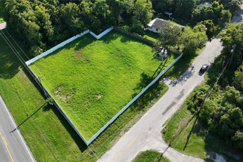 Terrain à vendre à Ocala, Floride № 1286442 - photo 6