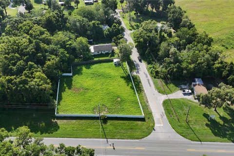 Terrain à vendre à Ocala, Floride № 1286442 - photo 4