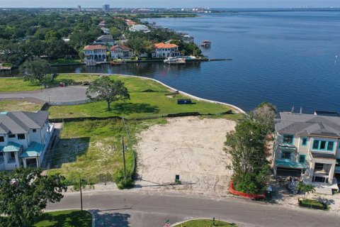 Land in Tampa, Florida № 1336453 - photo 4