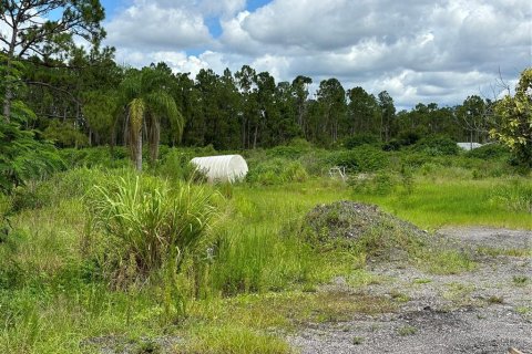 Immobilier commercial à vendre à North Port, Floride: 297.29 m2 № 1302342 - photo 6