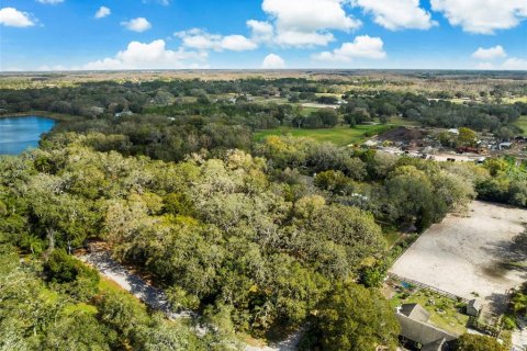 Terreno en venta en Odessa, Florida № 1243415 - foto 7