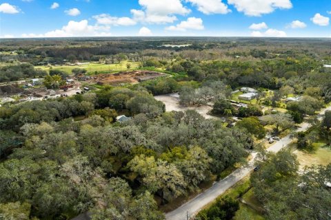 Terreno en venta en Odessa, Florida № 1243415 - foto 13