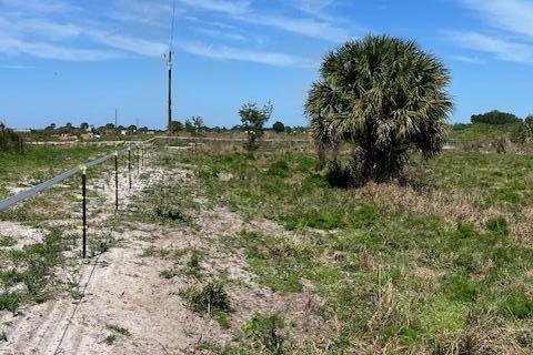 Terrain à vendre à Loxahatchee Groves, Floride № 1074797 - photo 6