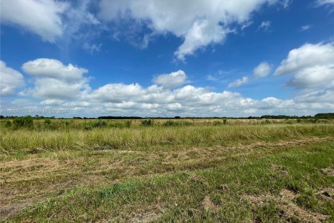 Terrain à vendre à Clewiston, Floride № 1077307 - photo 2