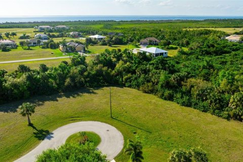 Terrain à vendre à Punta Gorda, Floride № 1057213 - photo 3