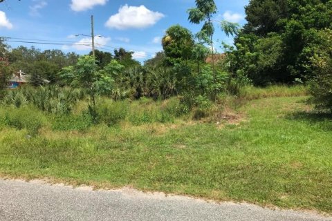 Terreno en venta en Apopka, Florida № 1336978 - foto 2