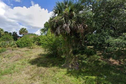 Terrain à vendre à Apopka, Floride № 1336978 - photo 3