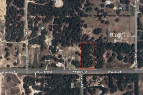 Terreno en venta en Homosassa, Florida № 1336458 - foto 1