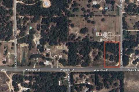 Terreno en venta en Homosassa, Florida № 1336457 - foto 1