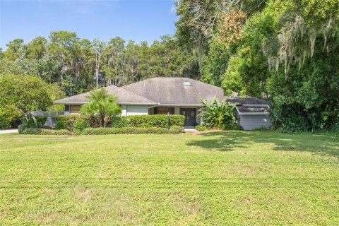 Villa ou maison à vendre à Odessa, Floride: 4 chambres, 223.71 m2 № 1341692 - photo 1