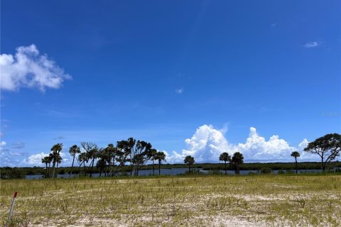 Land in Flagler Beach, Florida № 1341731 - photo 6