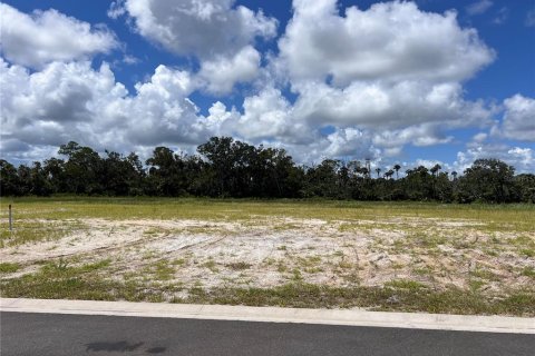 Land in Flagler Beach, Florida № 1341731 - photo 5