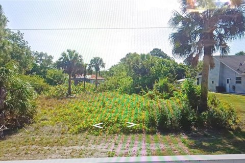 Land in Port Charlotte, Florida № 1217182 - photo 1