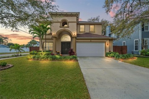 House in Tampa, Florida 5 bedrooms, 323.67 sq.m. № 1020891 - photo 3