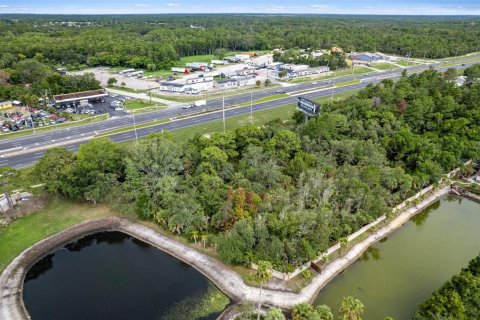 Land in Hudson, Florida № 1280254 - photo 14