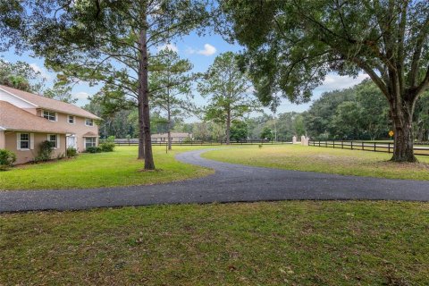 House in Ocala, Florida 4 bedrooms, 258.92 sq.m. № 1421952 - photo 11