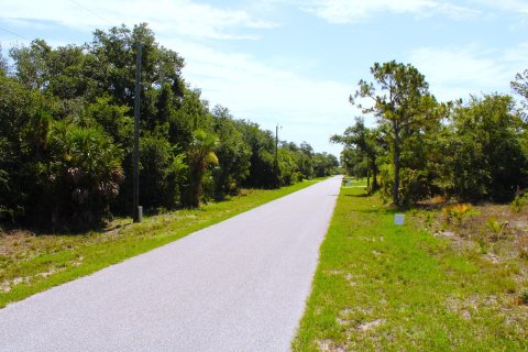 Land in Port Charlotte, Florida № 1230227 - photo 2