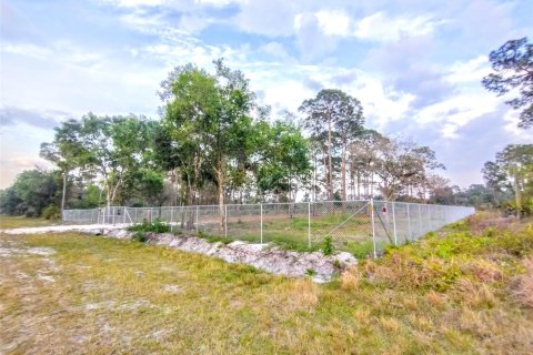 Land in Clewiston, Florida № 1038301 - photo 10