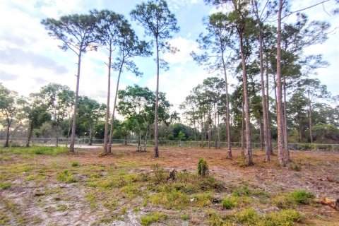 Land in Clewiston, Florida № 1038301 - photo 30