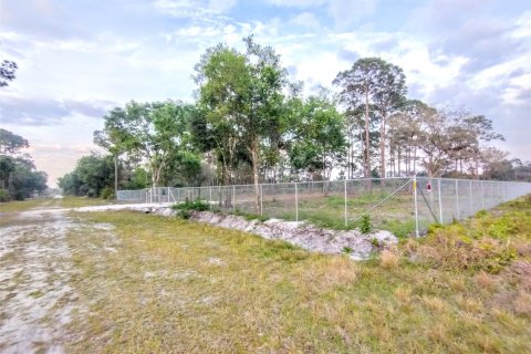 Land in Clewiston, Florida № 1038301 - photo 28