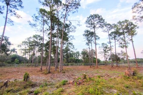 Land in Clewiston, Florida № 1038301 - photo 18