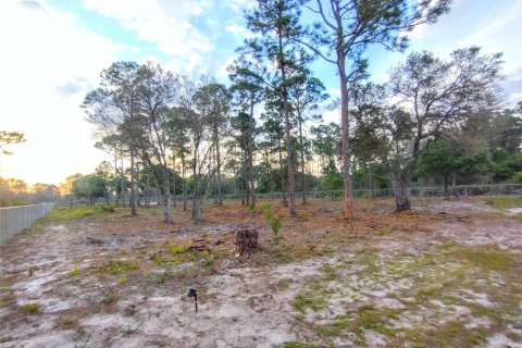 Land in Clewiston, Florida № 1038301 - photo 19