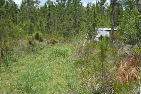 Terreno en venta en New Smyrna Beach, Florida № 1406479 - foto 8