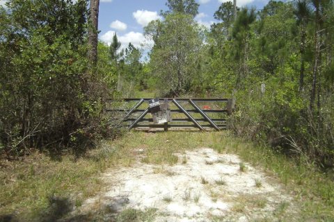 Terreno en venta en New Smyrna Beach, Florida № 1406479 - foto 2