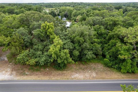 Terreno en venta en Sorrento, Florida № 1244333 - foto 8