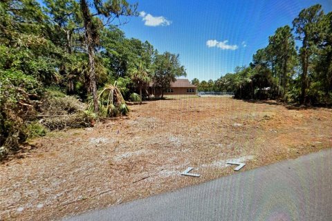 Land in Port Charlotte, Florida № 1196248 - photo 2