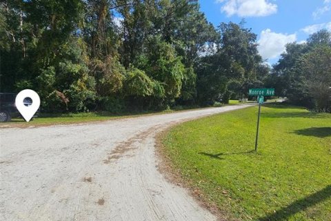 Terreno en venta en Masaryktown, Florida № 1416762 - foto 4