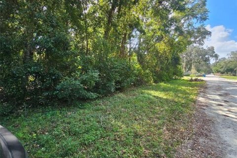 Terreno en venta en Masaryktown, Florida № 1416762 - foto 5