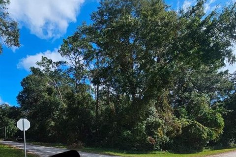 Terreno en venta en Masaryktown, Florida № 1416762 - foto 3