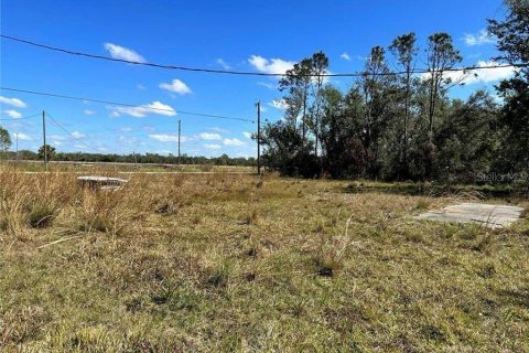 Land in Arcadia, Florida № 1300678 - photo 2