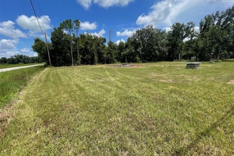 Land in Arcadia, Florida № 1300678 - photo 5