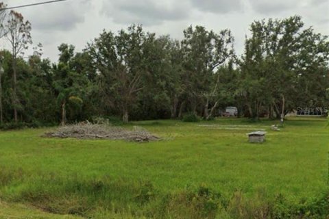 Terreno en venta en Arcadia, Florida № 1300678 - foto 1