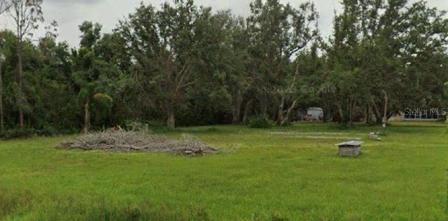 Terreno en Arcadia, Florida № 1300678