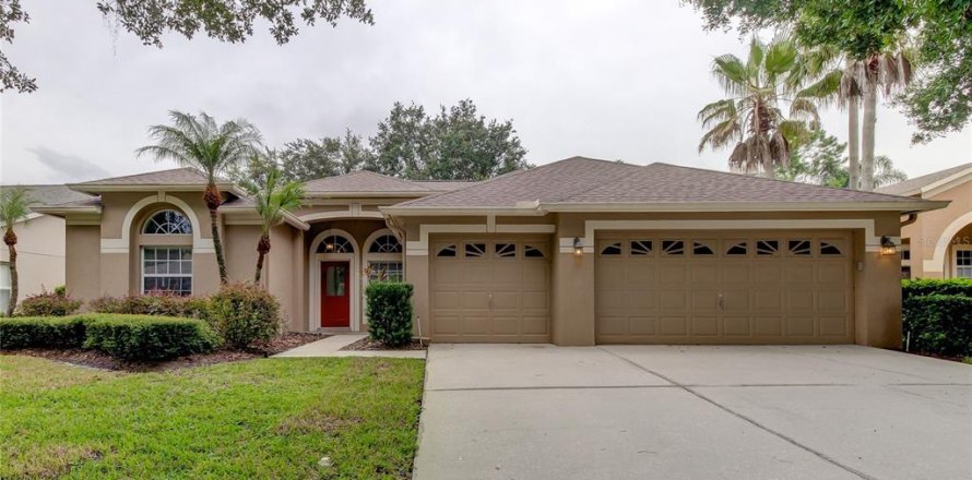 House in Tampa, Florida 4 bedrooms, 244.43 sq.m. № 1420986