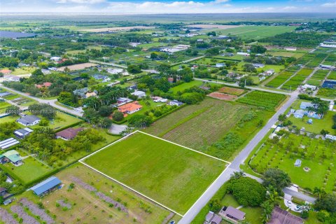 Propiedad comercial en venta en Homestead, Florida № 1360700 - foto 2