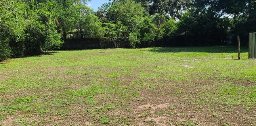 Terreno en Tampa, Florida № 1296631